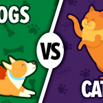 dogs vs cats