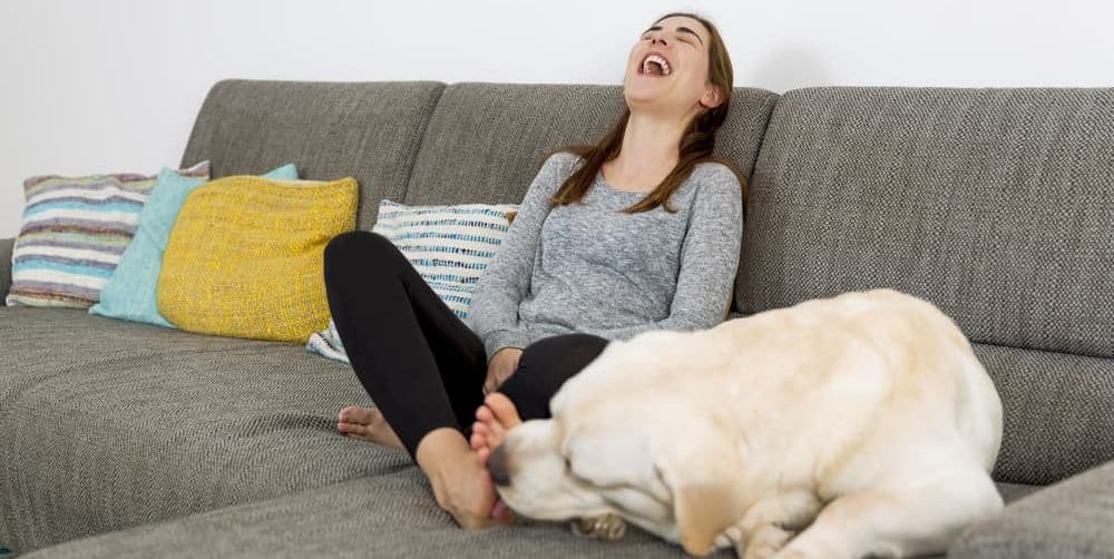 Why Does My Dog Lick My Feet Petsoid