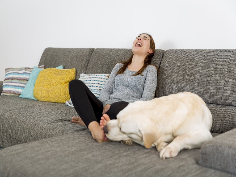 What does it mean when a dog licks my feet