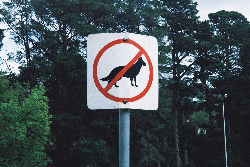 dogs not allowed sihn