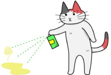 How to eliminate cat pee smell?