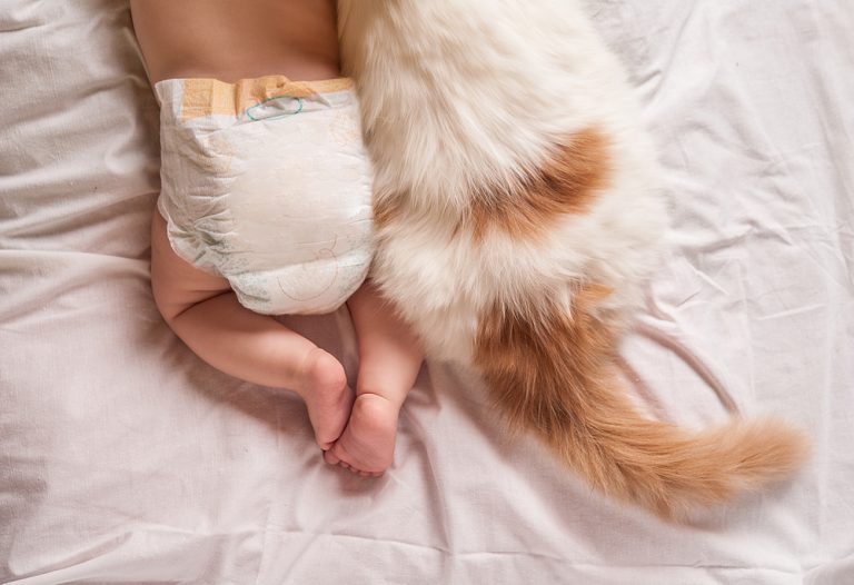 How to Keep Your Cat out of Your Baby’s Crib » Petsoid