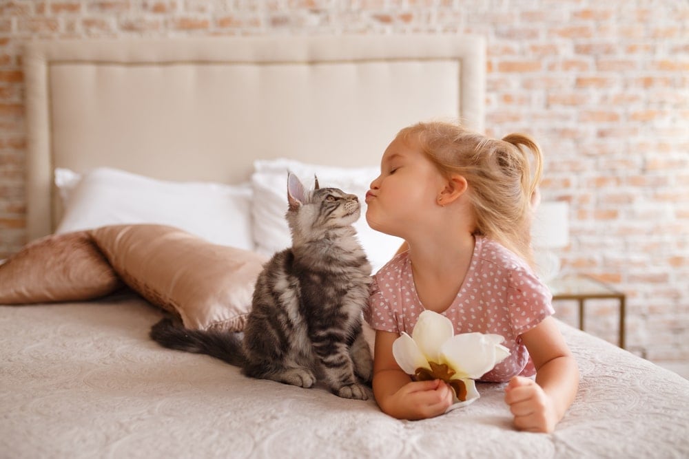 How to Keep Your Cat out of Your Baby’s Crib » Petsoid