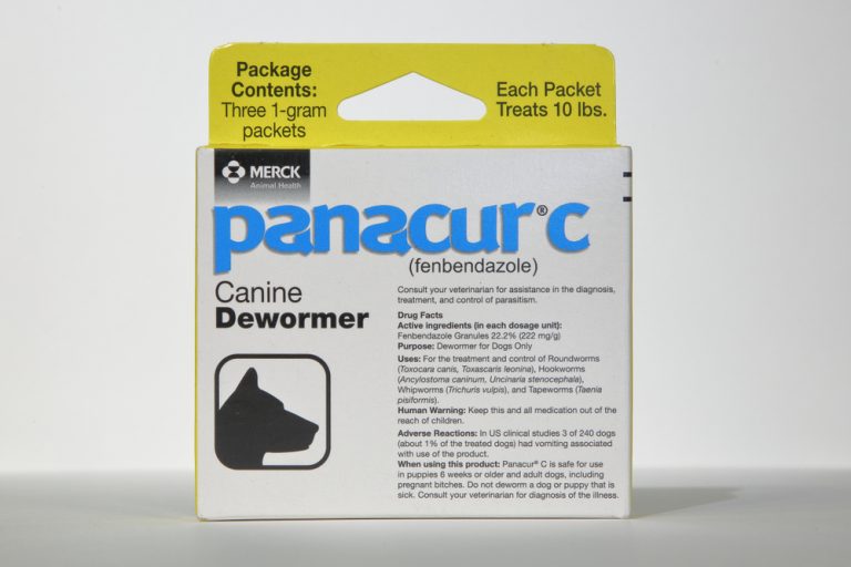 Side Effects After Deworming Your Dog » Petsoid