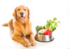 Vegetables That Are Safe for Dogs