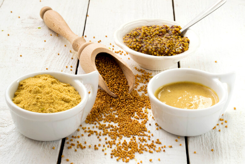 Can Dogs Eat Mustard? Is Mustard Safe For Dogs? » Petsoid