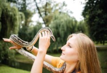 5 Great Beginner Pet Snakes