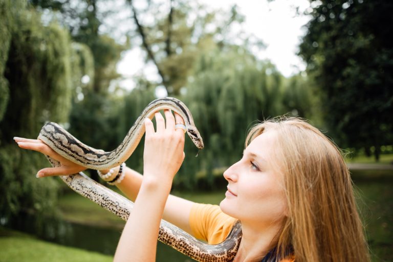 5 Great Beginner Pet Snakes » Petsoid