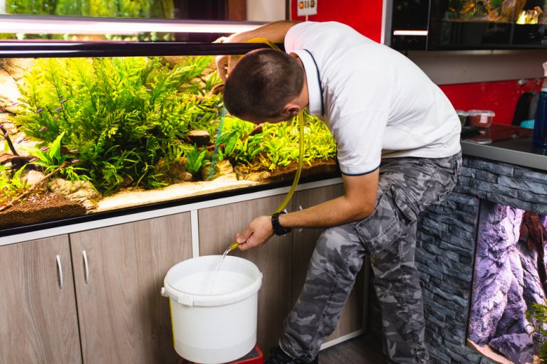 Freshwater Aquarium Cycling How to prepare for new fish » Petsoid