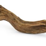 aquarium driftwood