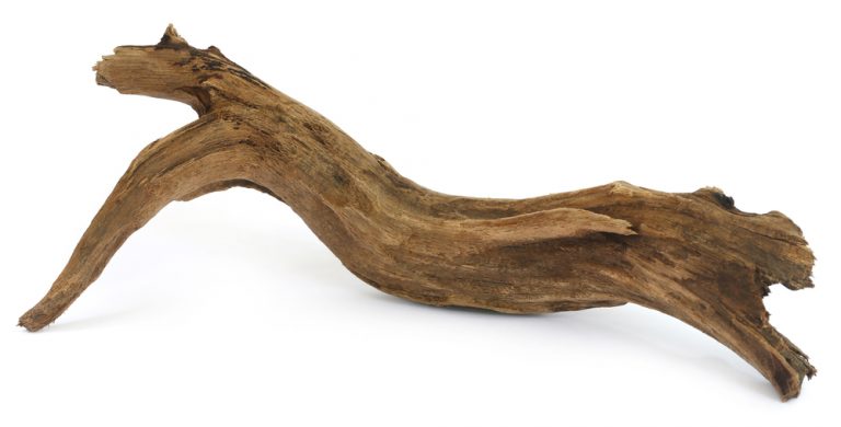 Aquarium Driftwood - Different Types & Info » Petsoid