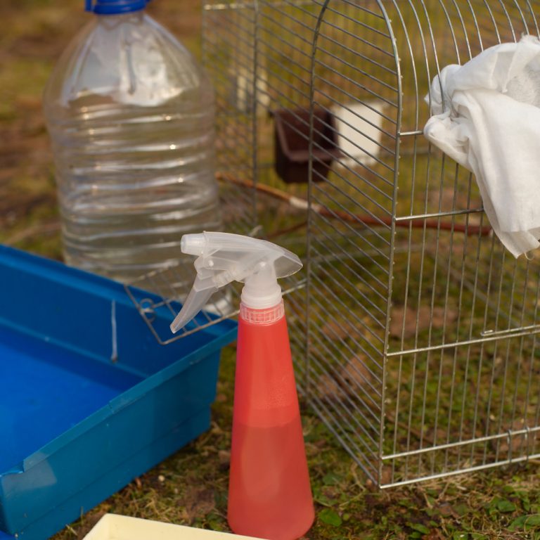 Cleaning your Birds Cage Tips » Petsoid