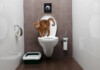 Should You Train Your Cat to Use the Toilet?