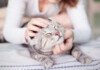 10 Ways Your Cat Shows You Love