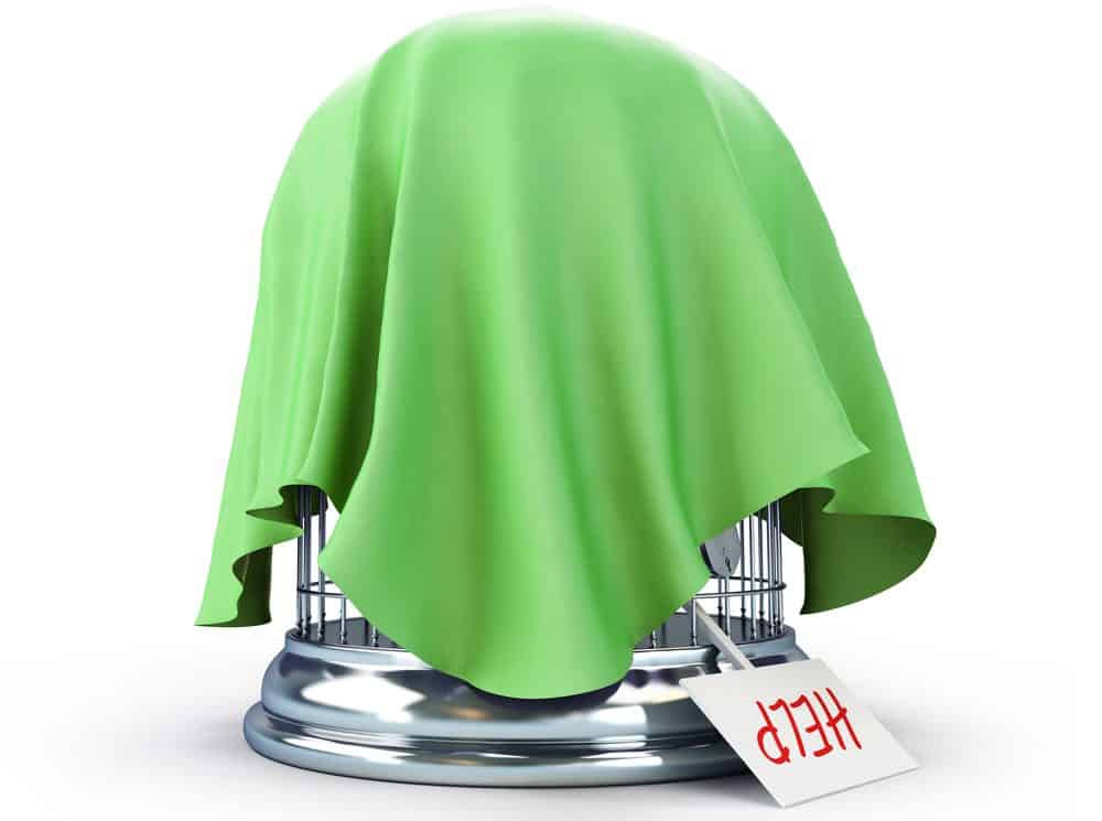 Should my Birdcage Be Covered at Night? Petsoid