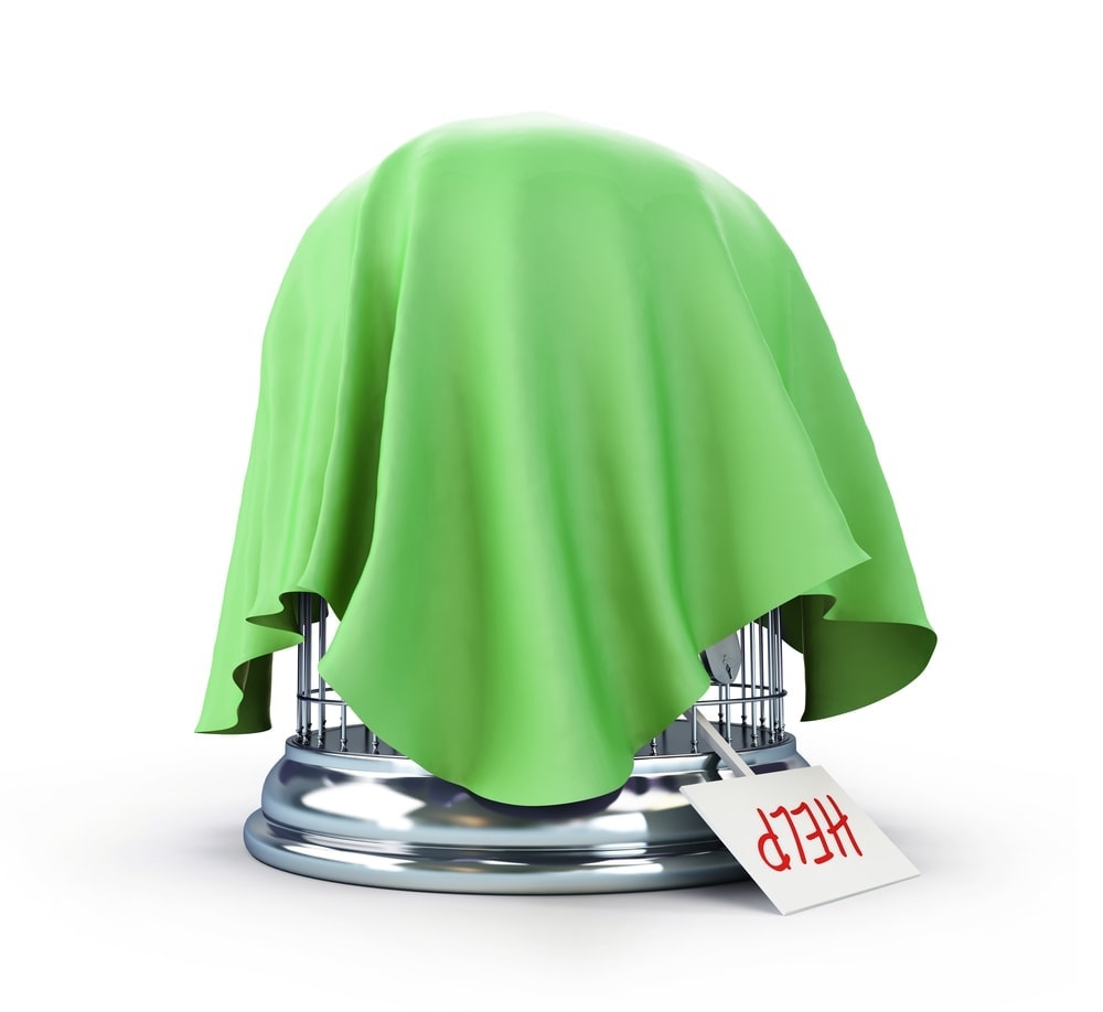 Should my Birdcage Be Covered at Night? » Petsoid