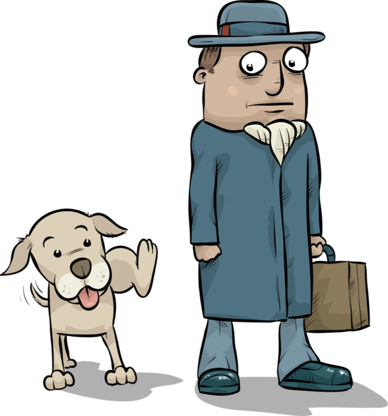 Why Does my Dog Pee on People’s Legs? » Petsoid