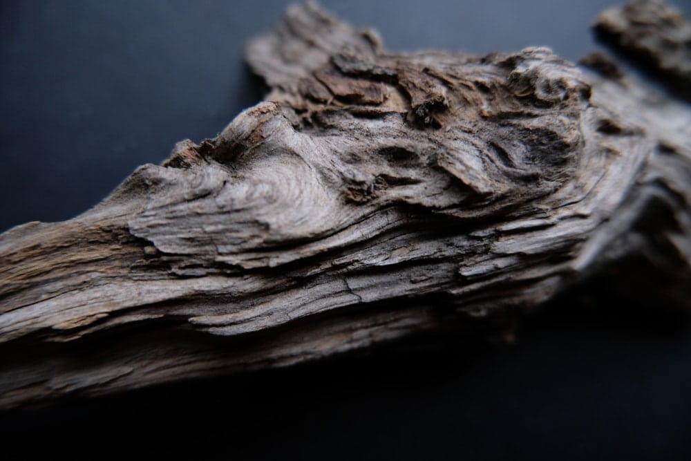 driftwood