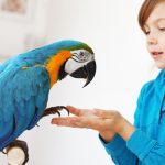 friendly parrot