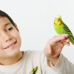 kid with pet bird