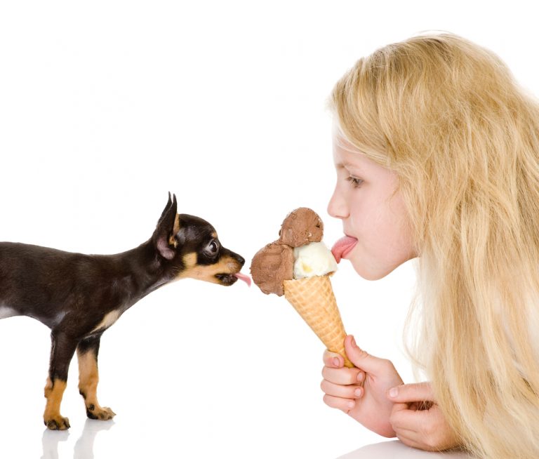 Can You Give a Puppy Ice Cream? » Petsoid