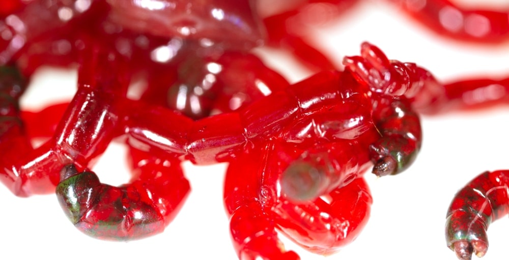 Bloodworms - Information About This Aquarium Food Â» Petsoid