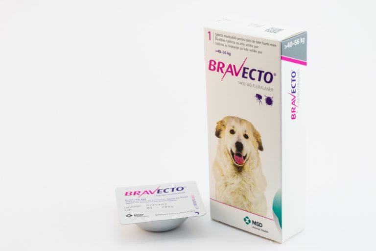 Is Bravecto Safe for Dogs? » Petsoid