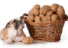 Can Dogs Eat Raw Potatoes & Is It Safe?
