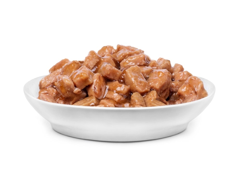 My Dog Ate Cat Food What Should I Do Petsoid
