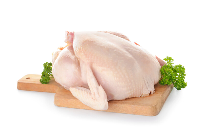 My Dog Ate Raw Chicken What should I do? » Petsoid