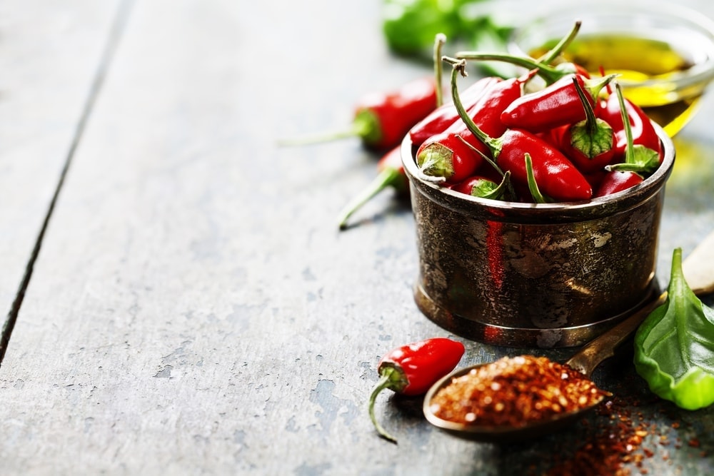 Can Dogs Eat Spicy Food? - Is it Safe? - Petsoid