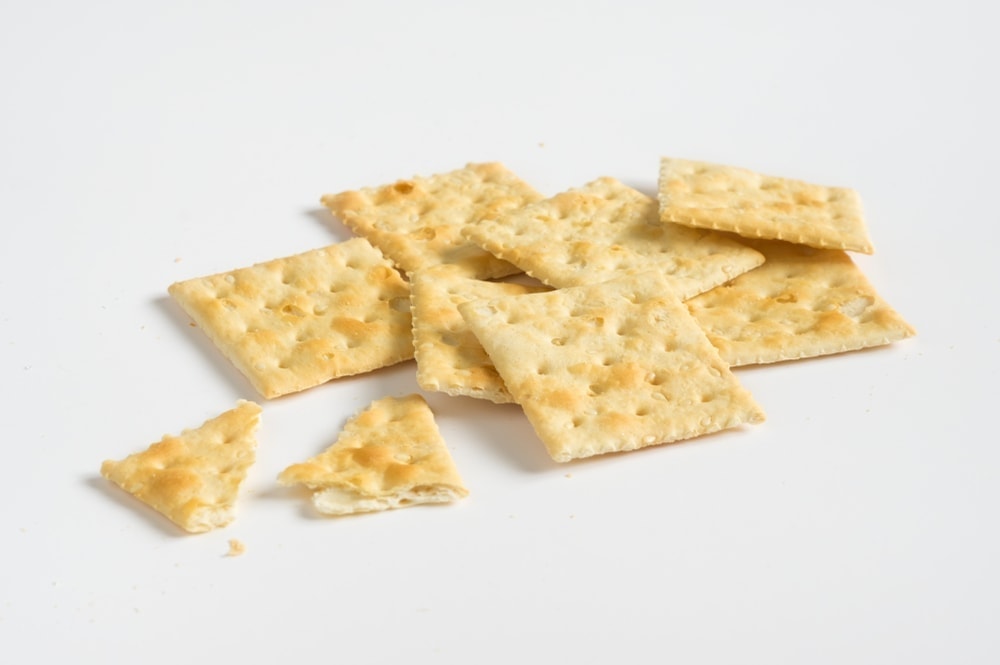 Can Dogs Eat Crackers? - Is it Safe? » Petsoid