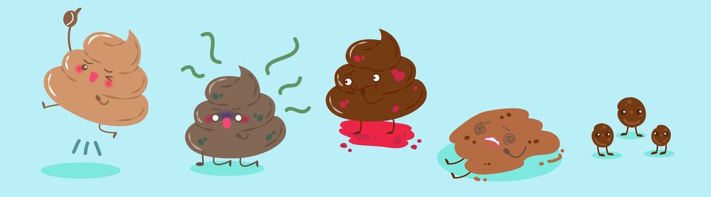 different kinds of poo e1582984114430