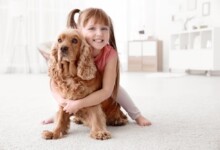10 Best Dog Breeds with Autistic Children