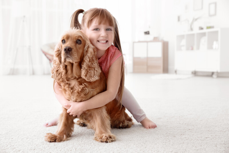 10 Best Dog Breeds with Autistic Children » Petsoid