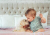 10 Best Dog Breeds for Homes with Babies