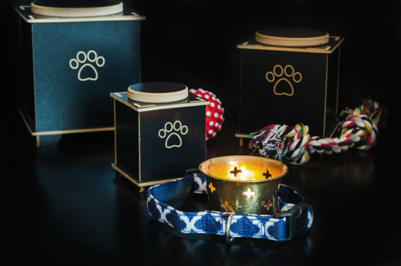 How Much Does Dog Cremation Cost? » Petsoid