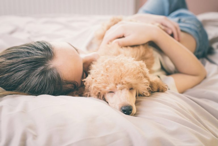 Top 10 Best Dogs for Anxiety » Petsoid