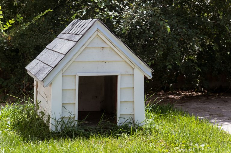 How to Heat a Dog House Without Electricity » Petsoid