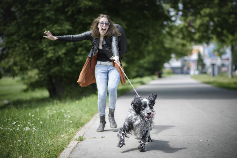What to Do if Your Dog Gets OffLeash » Petsoid