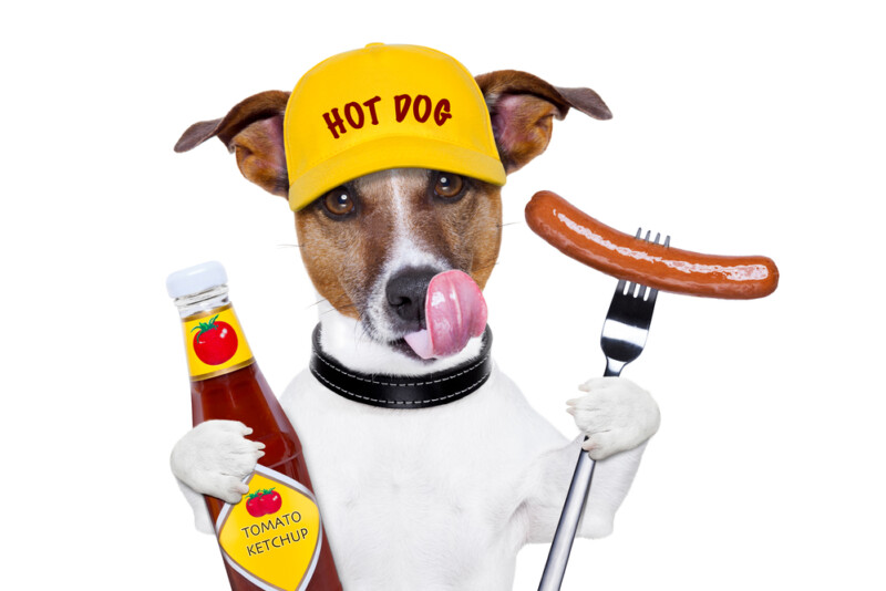 Can Dogs Eat Hot Dogs & Is It Safe? » Petsoid