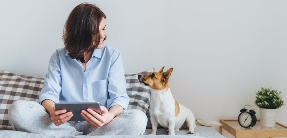 How Much Should You Charge For Overnight Dog Sitting Petsoid