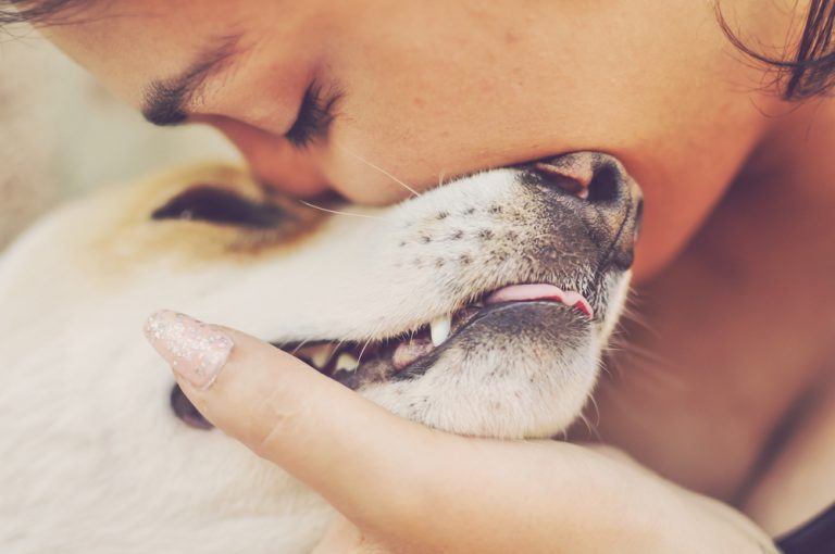 Why Do Dogs Like to Be Petted? » Petsoid