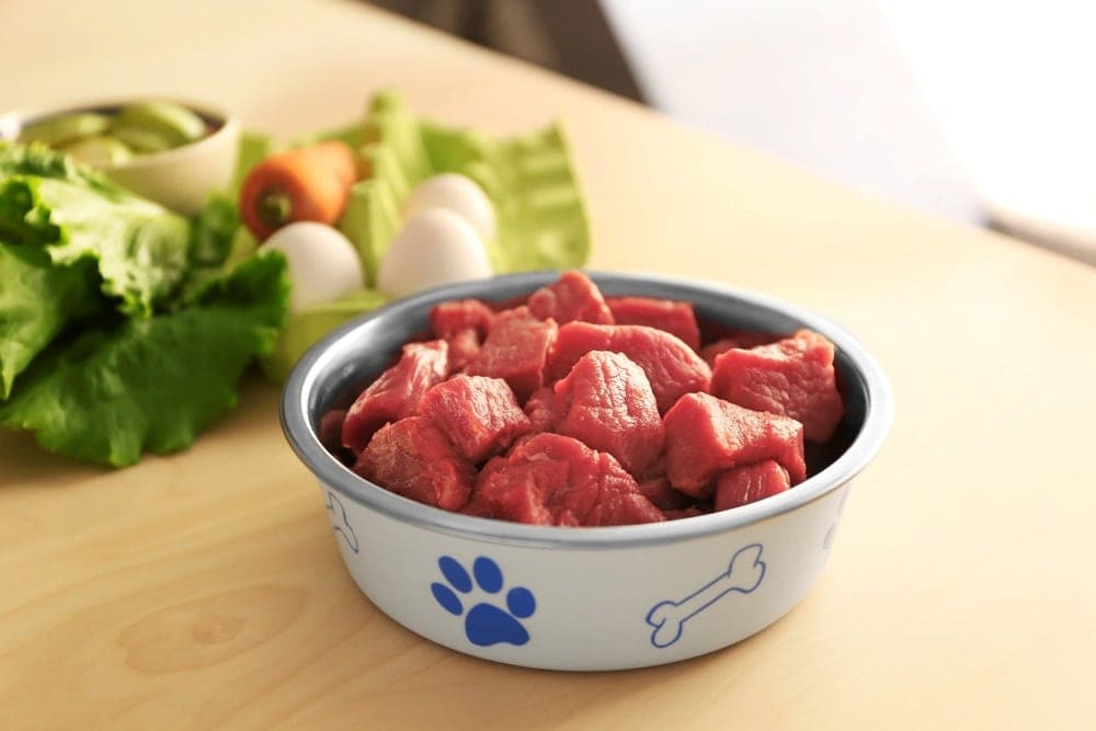 pork in a dogs bowl