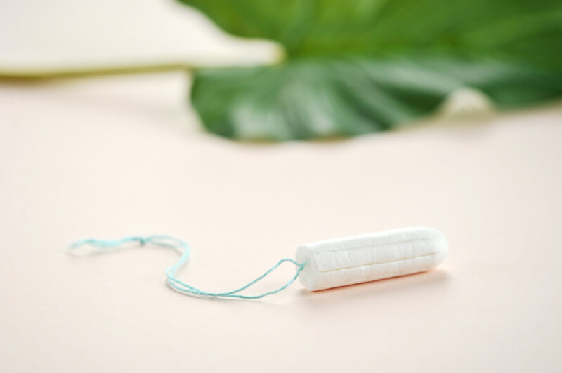 My Dog Ate a Tampon What should I do? » Petsoid