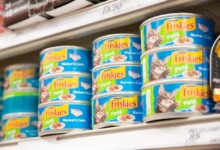Is Friskies a Good Cat Food?