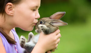 girl and brown rabbit