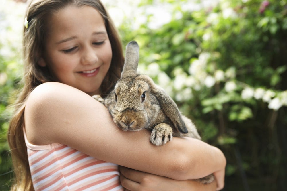 girl hold rabbit