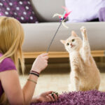 girl is playing with her cat