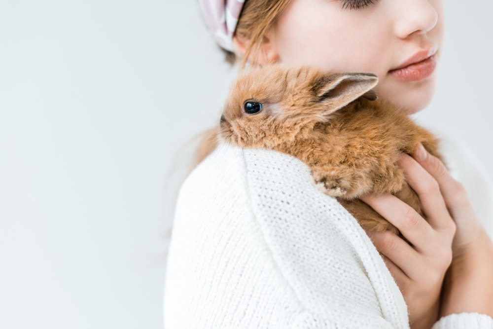 girl pick up bunny
